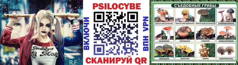 МЕГА ссылка  Славянск-на-Кубани  Псилоцибиновые грибы Psilocybine cubensis 
